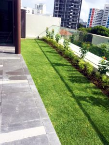Roof Garden Services in Singapore
