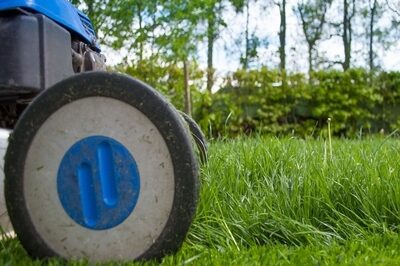 5 DIY Tips To Landscaping The Future In Singapore