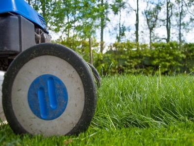 5 DIY Tips To Landscaping The Future In Singapore 5 DIY Tips To Landscaping The Future In Singapore