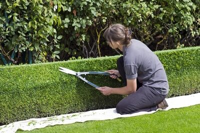 Environmental and Economic Benefits of Landscaping